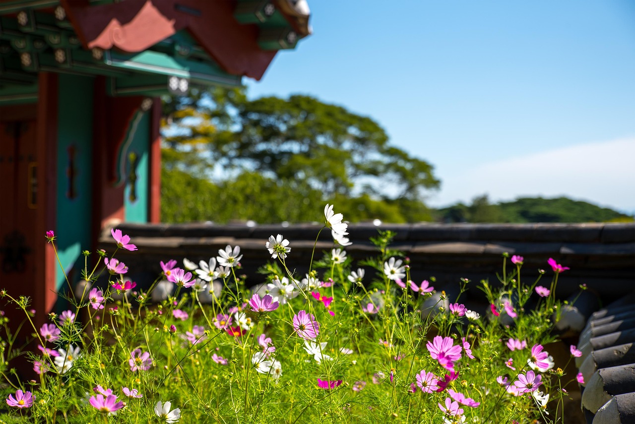 探索花花世界的奇幻之旅，游戏的魅力与启示